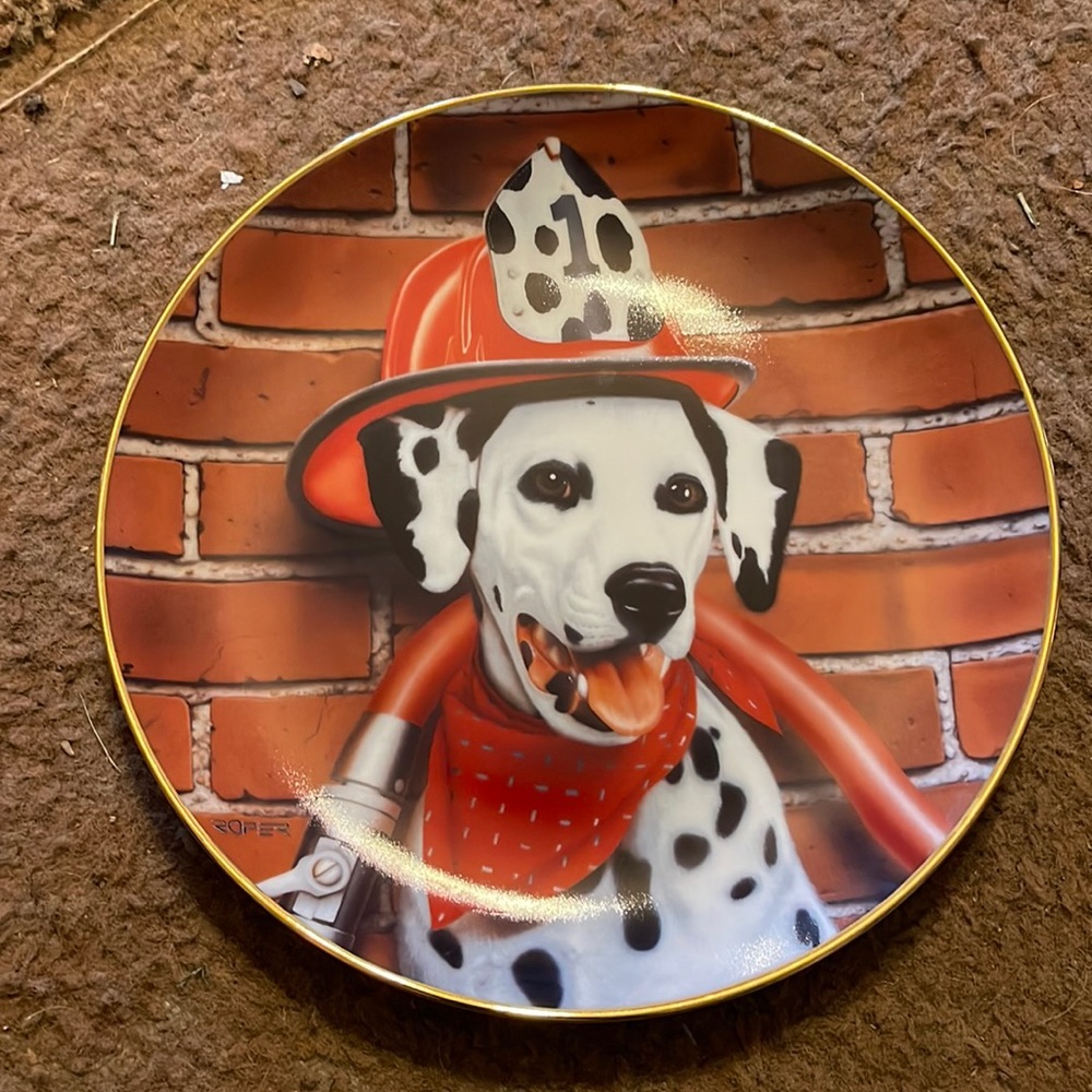 Wall Plate